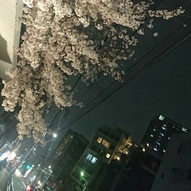 アンルシア的にポイント高いっさんのプロフィール画像