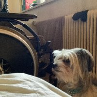 Christa winterš (@christa29930995) 's Twitter Profile