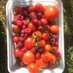 allotment matters (@allotmentmatter) Twitter profile photo allotment matters (@allotmentmatter) Twitter profile photo