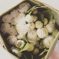P_supat_42💰 (@supatthra_p) 's Twitter Profile