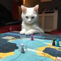 Michelle Dodd (@autisticcat2) 's Twitter Profile Photo Michelle Dodd (@autisticcat2) 's Twitter Profile Photo