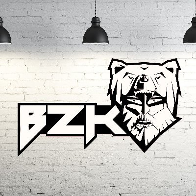 BerZerK Gaming is a Multi-Gaming Organisation (MGO), founded in 2012.