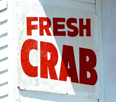 VisitWestport's profile picture. Westport, a tiny fishing & beach town ~2 hrs from SEA is home to WA's tallest lighthouse, a large marina, beautiful sandy beaches, tons of shorebirds, & me.