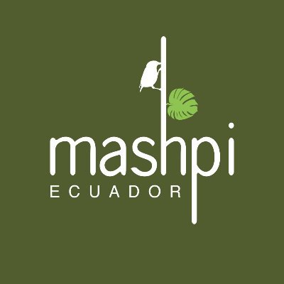 The best Ecuador rainforest experience, a drive away from Quito.