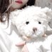 べりー🍓👑 (@129berry) Twitter profile photo べりー🍓👑 (@129berry) Twitter profile photo
