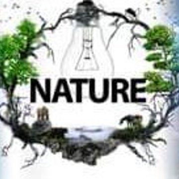 Amazing Nature Profile