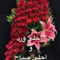 حماده (@q9vnqm1b0vro4ed) 's Twitter Profile