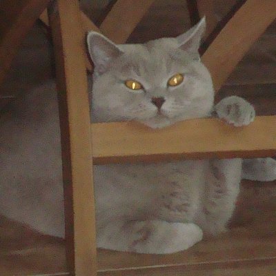 DavidMcze's profile picture. 