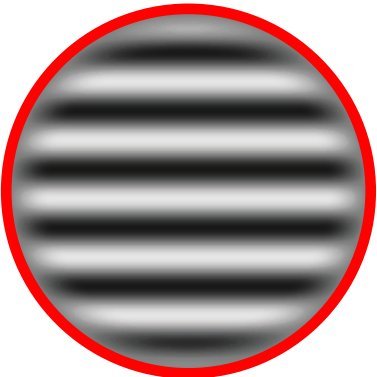 Twitter account of the Goris lab at UT Austin (run by lab members)