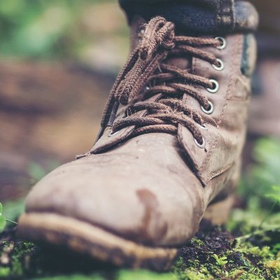 lakes_trust's profile picture. We're a land conservation organization in western Maine that conserves land, creates trails and connects our community with nature.