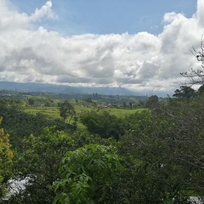 jaga1984's profile picture.