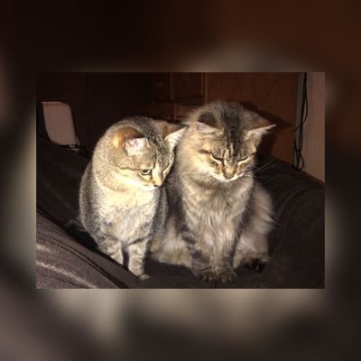 aivonnegut's profile picture. 