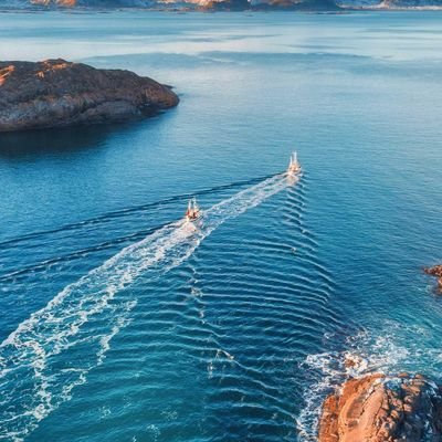 RihongxieRocker's profile picture. 