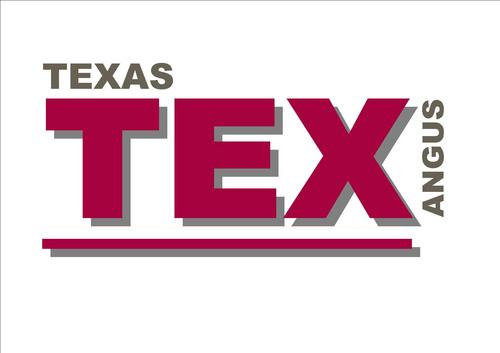 texasangus's profile picture. Our bulls are sound, heavy, quiet Angus bred with cutting edge technology focusing on growth, carcase, fertility, temperament, longevity to survive and thrive.