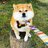 鱈ちゃんのアイコン