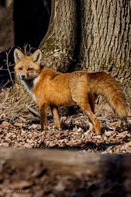 DavidECarroll19's profile picture. I'm David  from Poughkeepsie  ny