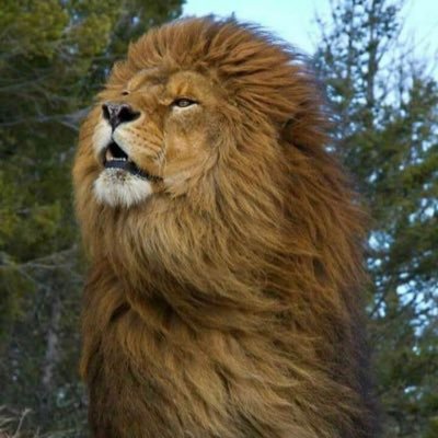 may15239633's profile picture. 