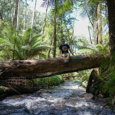 JamesJinSun's profile picture. a globe-trotter (or seagull). a practitioner researcher and veteran in international education. a critical thinker.