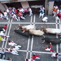 Running Bulls 2015 (@bullbalcony) Twitter profile photo