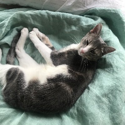 ColinJM5's profile picture. Educator, advocate for disability justice, organizer, writer. Proud member @UnionIncluded. @INCLUDEnyc, views mine