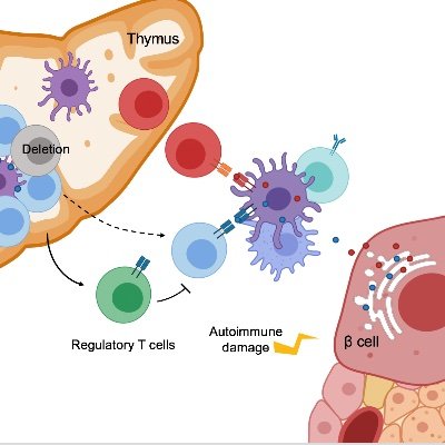 BettiniLab's profile picture. 