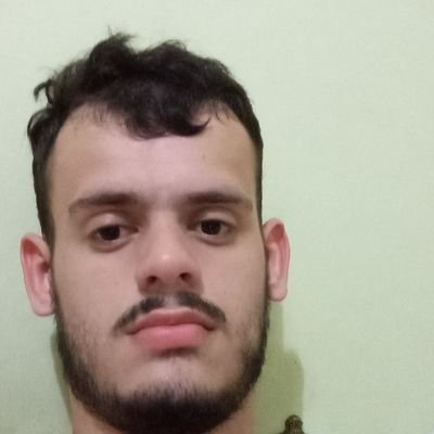 LessaGazzola's profile picture. 