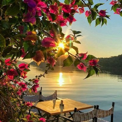 shimzath's profile picture. தெய்வத்தால் ஆகா தெனினும் முயற்சிதன் மெய்வருத்தக் கூலி தரும்.