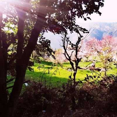 andazEbayyan's profile picture. 