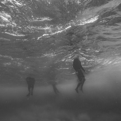 doccaico's profile picture. 双極 / 酒 / たまにプログラミング、ゲーム、キーボード初心者(61鍵)