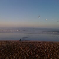 Bracklesham.co.uk (@brackleshambay) 's Twitter Profile