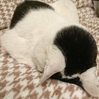sho.muramatsu (@jjm_shawn) 's Twitter Profile
