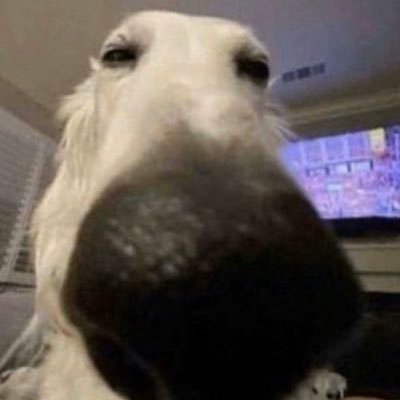 oxvzyy's profile picture. as patriotic as it gets 🦅🪖 🇵🇸