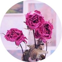 な〜 (@ntnt_tori) 's Twitter Profile