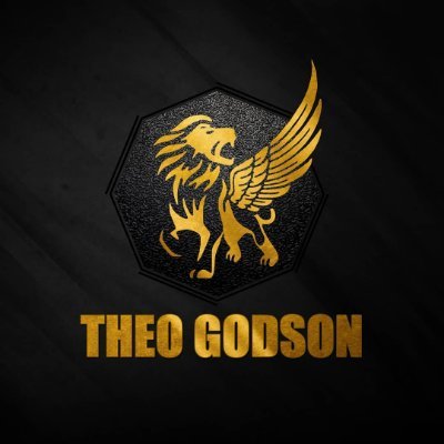 theogodsonagenc's profile picture. 🖥Digital solutions for startups & growing businesses 💼Brand Management 🎞Creative Contents Dev 📱Marketing & Promotions 💻 Funnels & Web Design