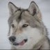 レン@MWAM (@mwam_235) Twitter profile photo レン@MWAM (@mwam_235) Twitter profile photo