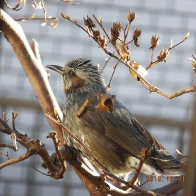 ban_fuku's profile picture. 「21世紀の戦争と平和_孫崎享_徳間書店」を読みメディアが報道しない事実を知り2016年6月twitter参加。簿記&FP&有機/特化/危険物/衛生工学衛生管理者&アマ無線&弓道初段と技術部&信頼性技術部&危機管理室&経理&事業計画室の経験から「なぜなぜ」を呟きます。実験&鉱物&野鳥好き。「多様な呟きを大切に」思います