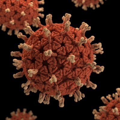 stopthespread__'s profile picture. #StopTheSpread