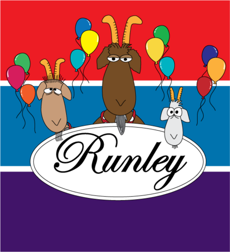 Runley is a publisher of quality edu-tainment products for children. Teachers, policemen, firemen, pharmacists, retirees - even a potter make up our talent base