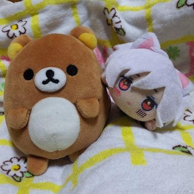 リラ🐻🍓さんのプロフィール画像