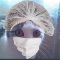 Kukulapati (@kukulapati) Twitter profile photo
