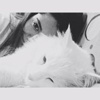 Ikarus Basarırsa (@gemkex) Twitter profile photo