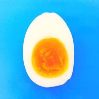 100日後に茹でた卵(@yakinikumeat) 's Twitter Profile Photo
