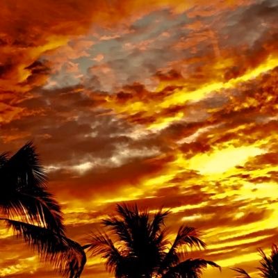 kinako_tsg125's profile picture. 最近やりたいこと多くて時間足りない