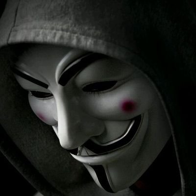 Teampredator11's profile picture. shark