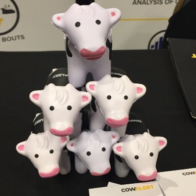 CMalcol66614316's profile picture. Research Sales and Support at IceRobotics Ltd 
Providing animal behaviour monitoring solutions to animal scientists worldwide.