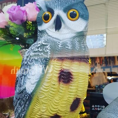 BruceCh95215623's profile picture. 