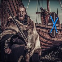 XRP_Viking(@XRPViking1) 's Twitter Profileg