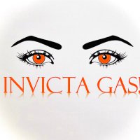 Invicta Gas Ltd (@invictagasfires) 's Twitter Profile