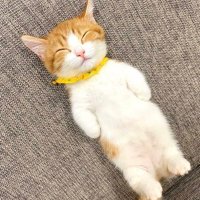 aya (@adanoedano) Twitter profile photo