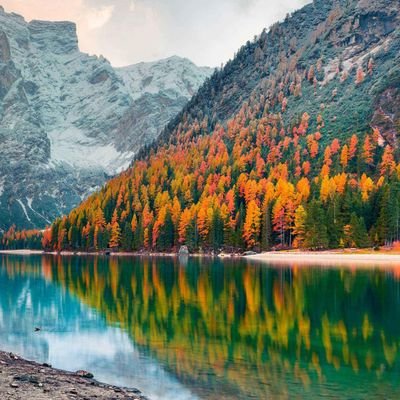 simsiz53699060's profile picture. 